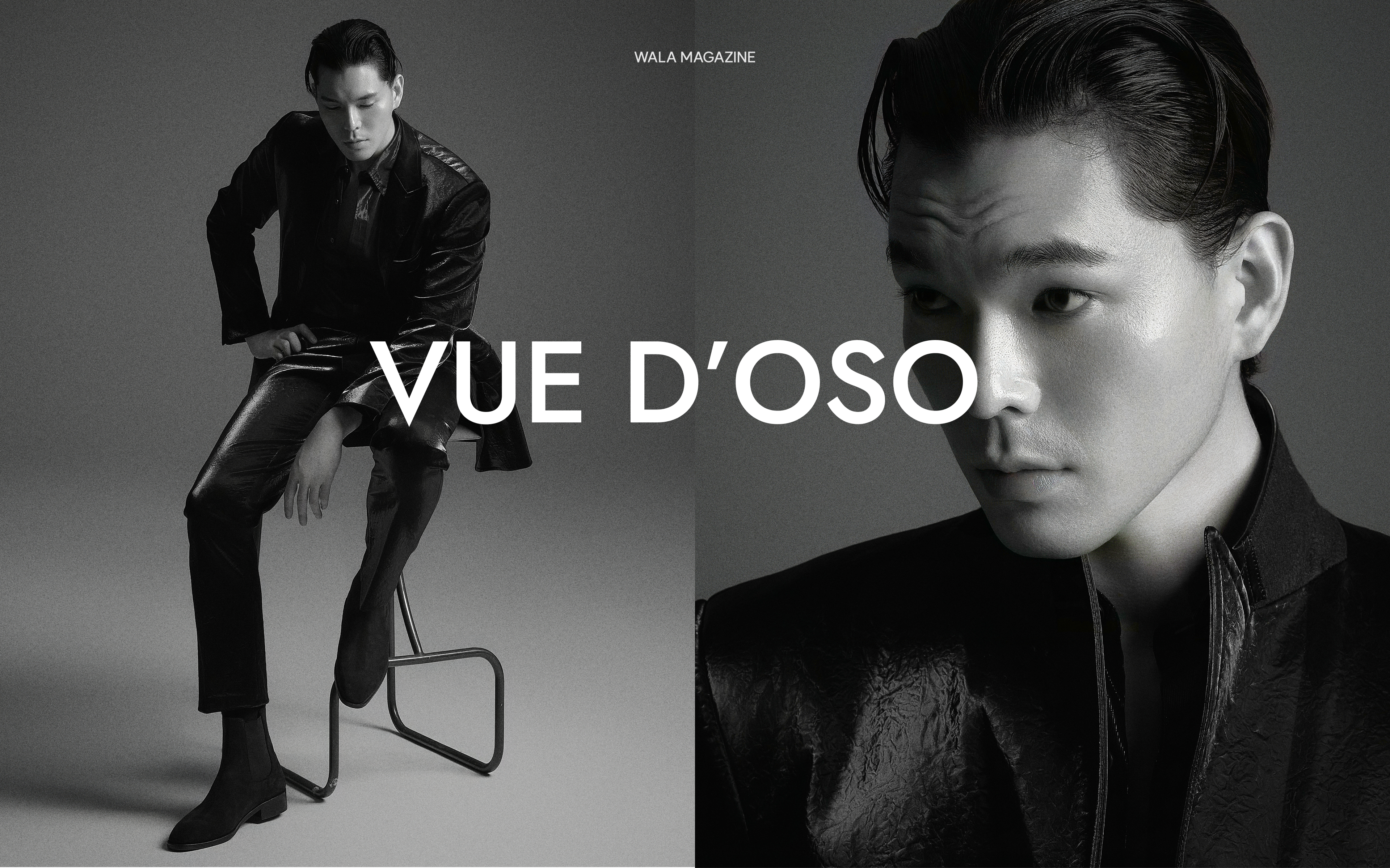 Vue d'Oso Main Campaign